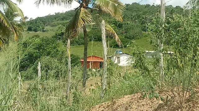 Excelente propriedade de 9.5 hectares, rica em água, em Glória do Goitá-PE - Foto 3