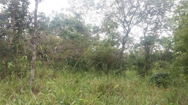 Fazenda 220 Alqueires Barulandia - Foto 20