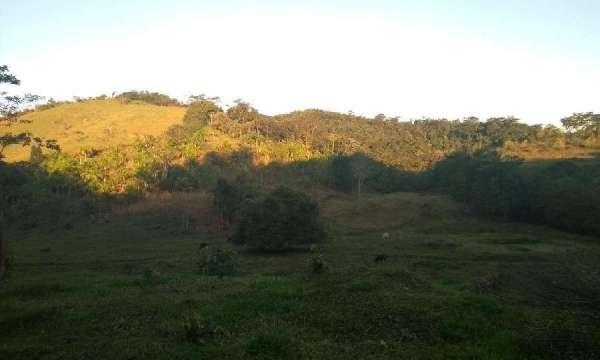 Belíssima fazenda em Cachoeiras de Macacu RJ 122 oportunidade!!! - Foto 8