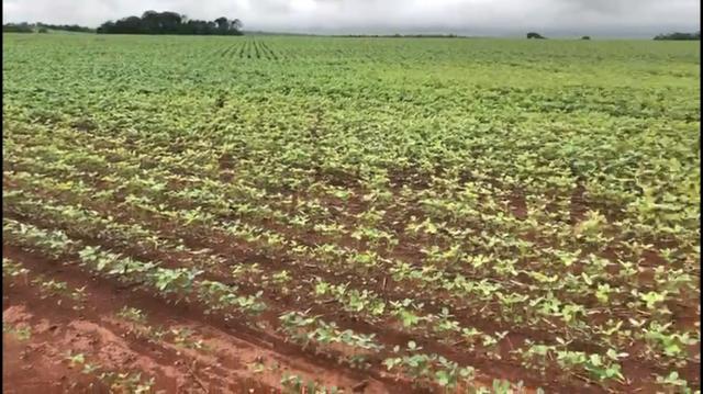 Fazenda em Nobres MT - Foto 7