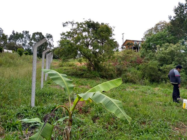 Chácara em fazenda Rio grande - Foto 6