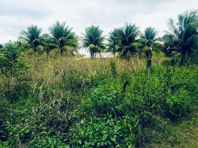 Vendo ou alugo - Foto 5