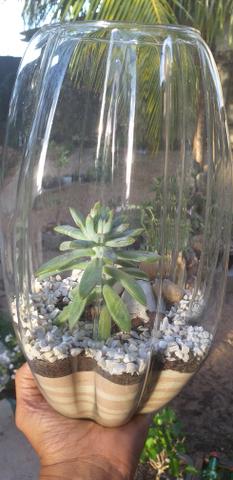 Vasos prontos p decorar (cacto e suculenta) - Foto 2