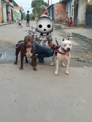 Vendo ou troco - Foto 6