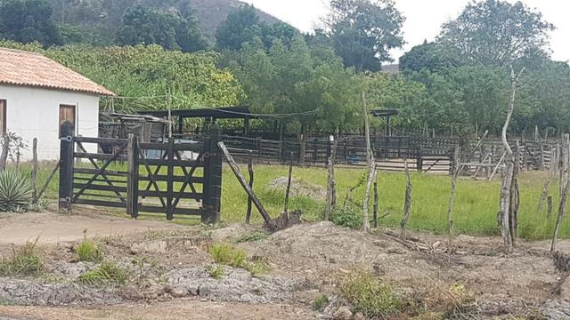 Sítio Irrigado Próximo ao Centro de Jequié com 40.000 m2 - Foto 16