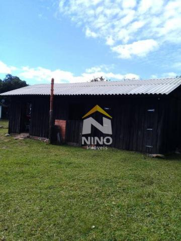 Chácara com 1 dormitório à venda, 50000 m² por r$ 318.000,00 - santa cruz da concórdia - t - Foto 5