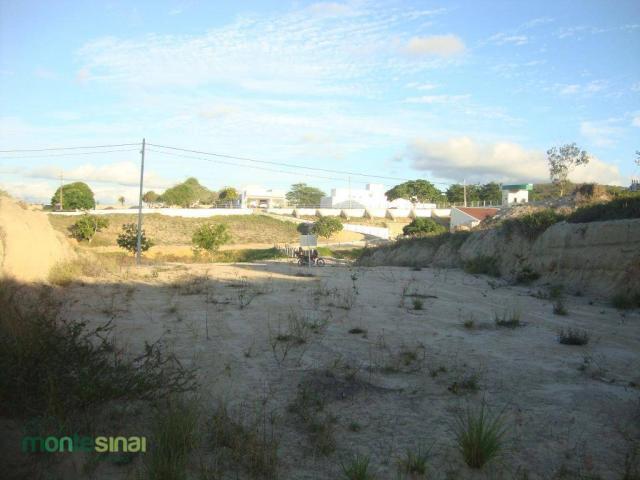 Terreno à venda, 367 m² por R$ 57.000,00 - Condomínio Privê Portal do Agreste - São João/P - Foto 5