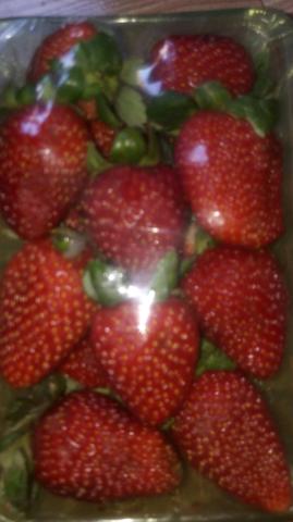 Morangos delivery - Foto 4