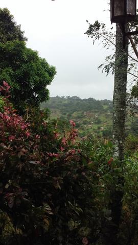 Vendo Sítio em Vitória de Santo Antão - Foto 4