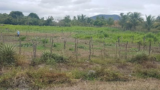 Sítio Irrigado Próximo ao Centro de Jequié com 40.000 m2 - Foto 17
