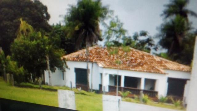 Fazenda 88 mil hectares de porteira fechada localizada na transpantaneira 220 km de Cuiabá - Foto 13
