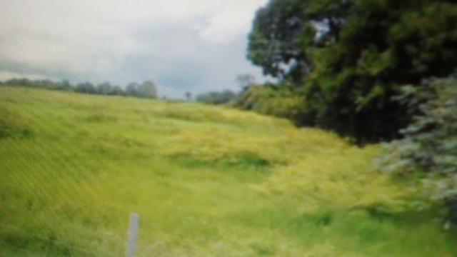 Fazenda 88 mil hectares de porteira fechada localizada na transpantaneira 220 km de Cuiabá - Foto 17