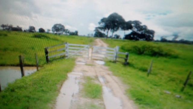Fazenda 88 mil hectares de porteira fechada localizada na transpantaneira 220 km de Cuiabá - Foto 18