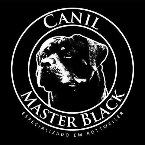 Filhotes de rottweiler - Foto 4