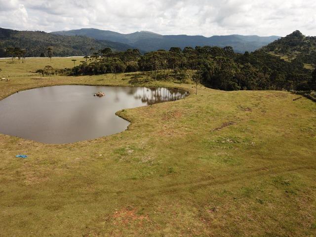 Terreno Urubici/ Chácara Urubici - Foto 11