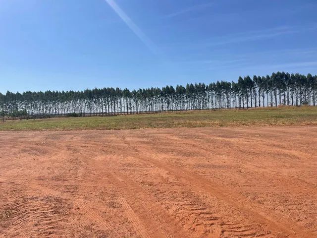 Fazenda de7982 em Paranatinga-MT - Foto 3