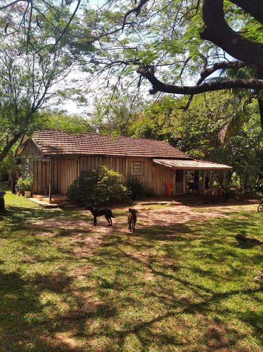 Excelente Propriedade Cianorte 14 Alqueires - Foto 10