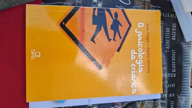 A psicólogia da Criança 