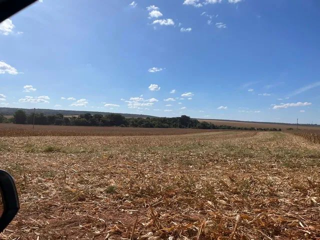 Fazenda de7982 em Paranatinga-MT - Foto 4