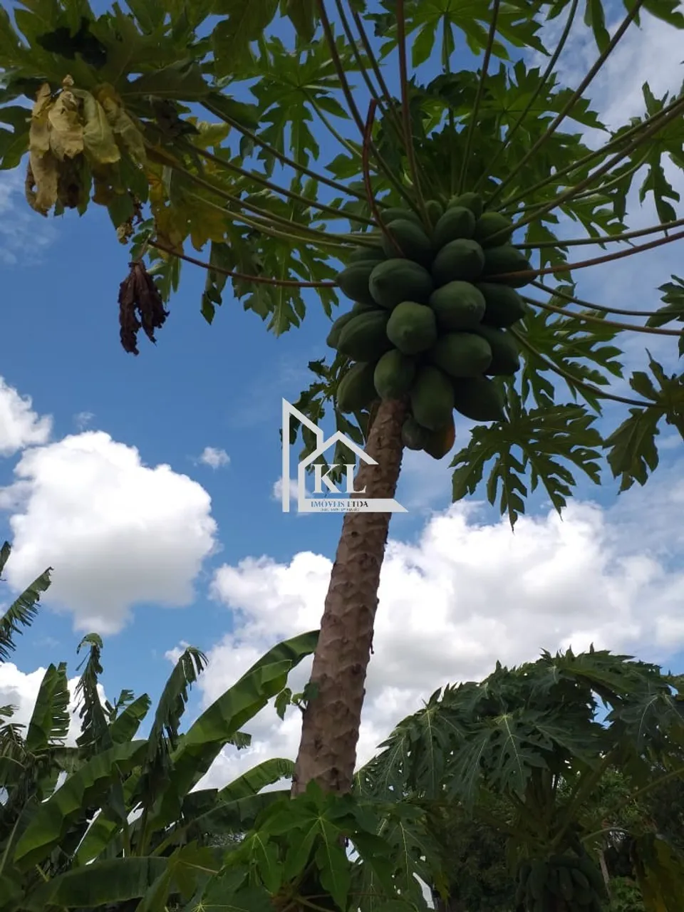 Grande Oportunidade - Belissima Fazenda 300,6Hectares - Cidade Jandaira