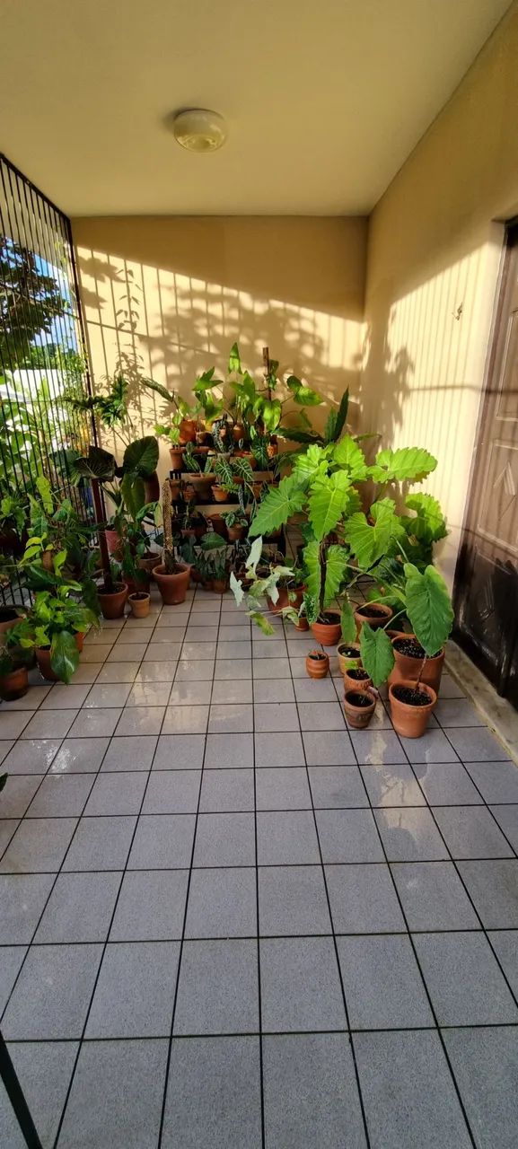 Vendo Casa no Treze de Maio 4 Quartos - Foto 5