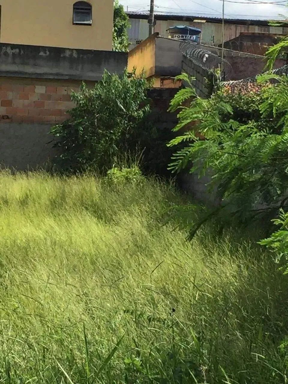 Área plana de 450M² - Foto 4