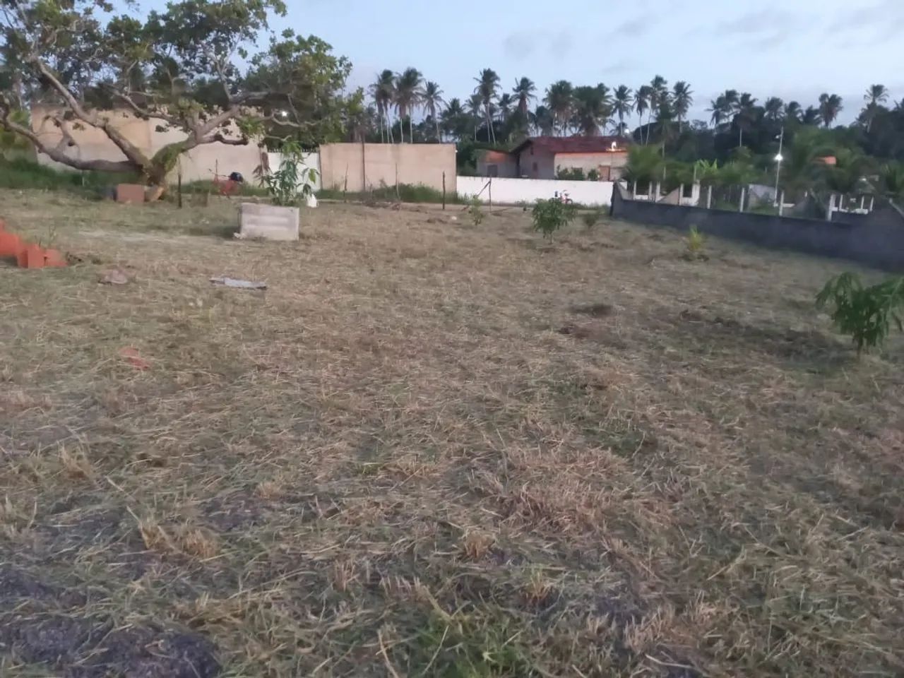 Terreno dividido em 6 lotes no sapé itaporanga 