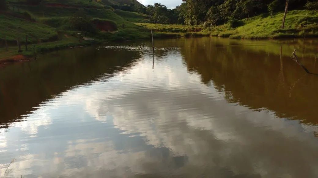 Valença - Sítio com 58 hectares ! Oportunidade! - Foto 5