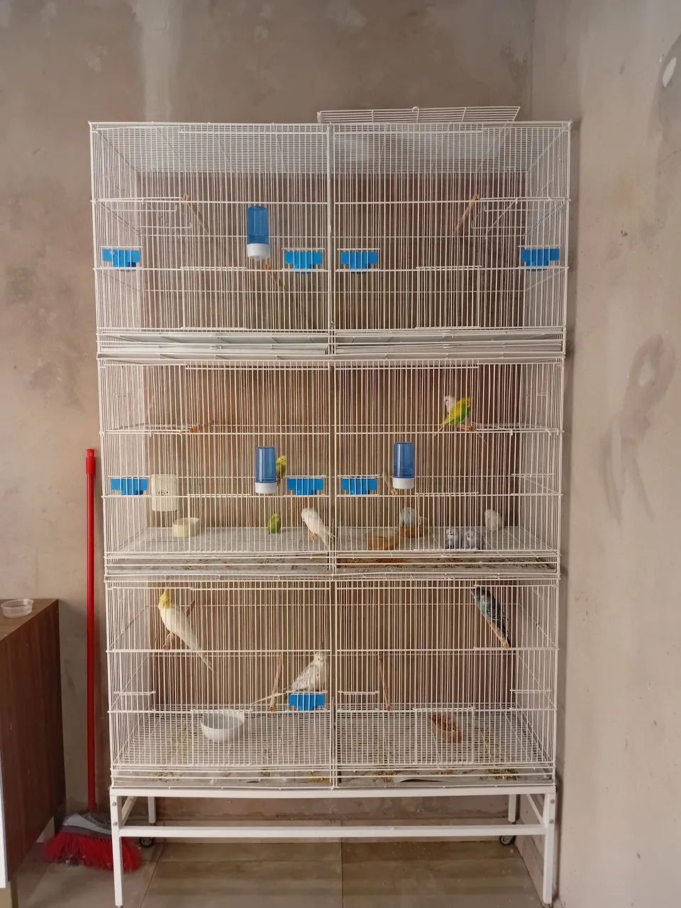 Vendo conjunto de gaiolas criadeiras (gaiopar)