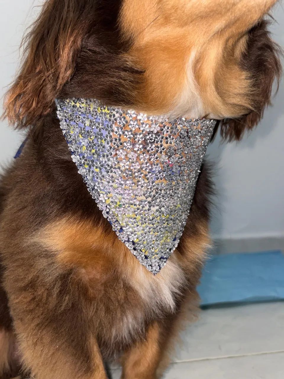 bandana pet carnaval com brilho  feita à mão - Foto 2
