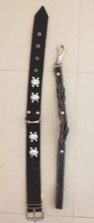 belíssima e exclusiva  coleira completa   reforçada para cães de grande porte.  - Foto 2