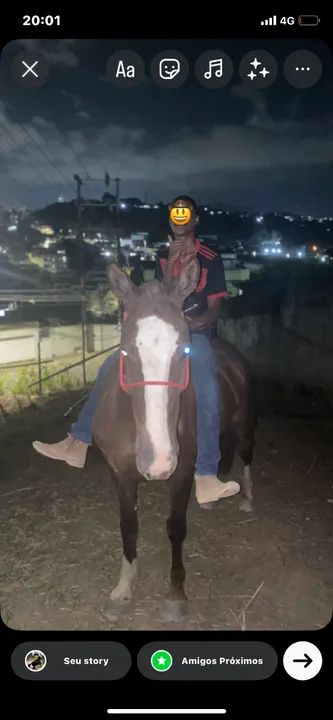 Égua mangalarga paulista marcha picada e batida dócil pra adulto e criança muito esperta  - Foto 3