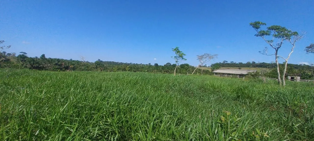 Fazenda com pastos formados e 3 açudes
