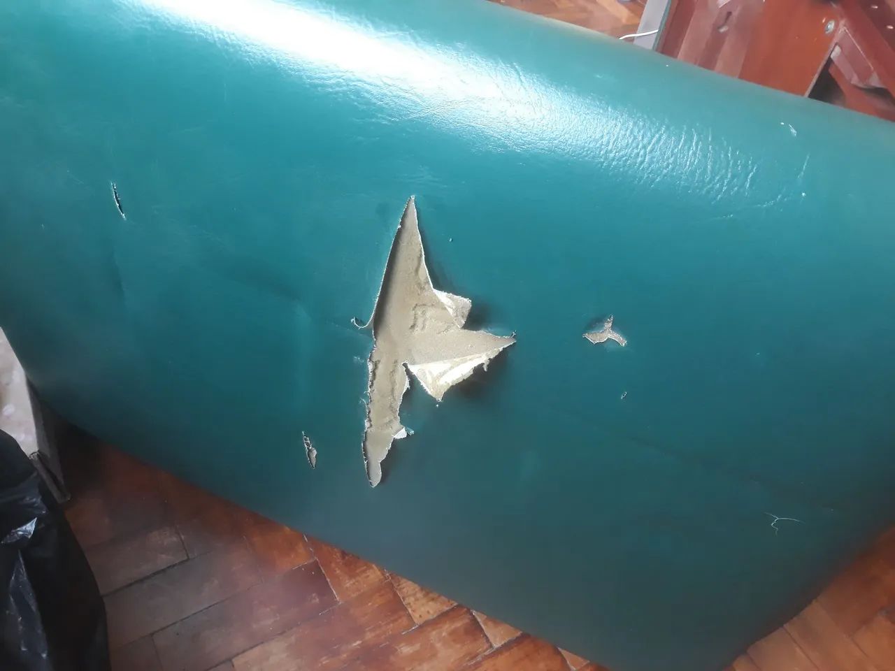 Maca Beltex - Foto 4