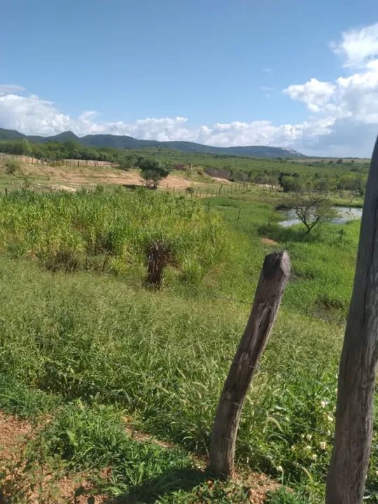 Sítio próximo à cidade de Piancó-PB