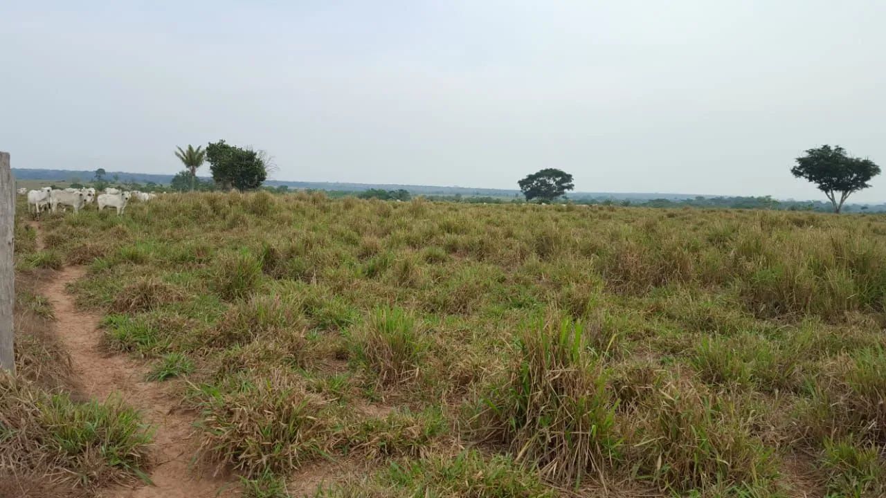 Fazenda 12.00 hect em Juína MT. 4 mil abertos 350 milhões. - Foto 2