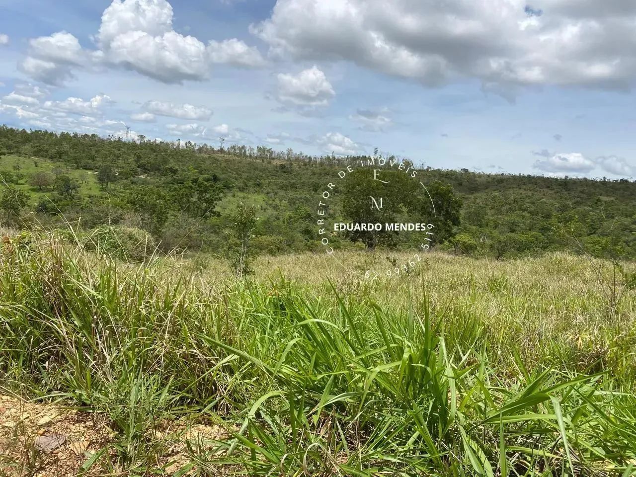 Linda chácara com 17.74 hectares, rica em água, 500 metros da GO 474 Abadiânia - Foto 7
