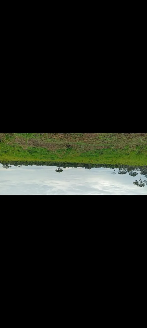 Lindo lote de terra 28 hectares ideal pra criação de gado .