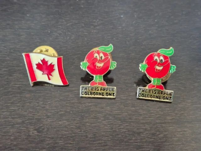 Kit 8 Itens Souvenir Canadá. Imã + Pins / Bottons / Broches - Foto 6