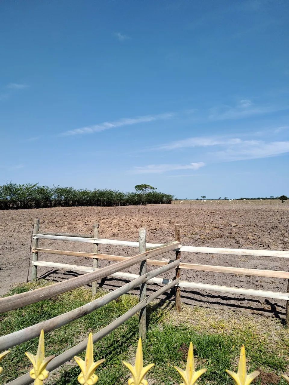 propriedade rural para venda - Foto 5