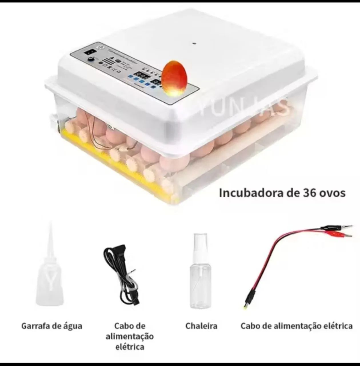 Incubadora de ovos- chocadeira 
