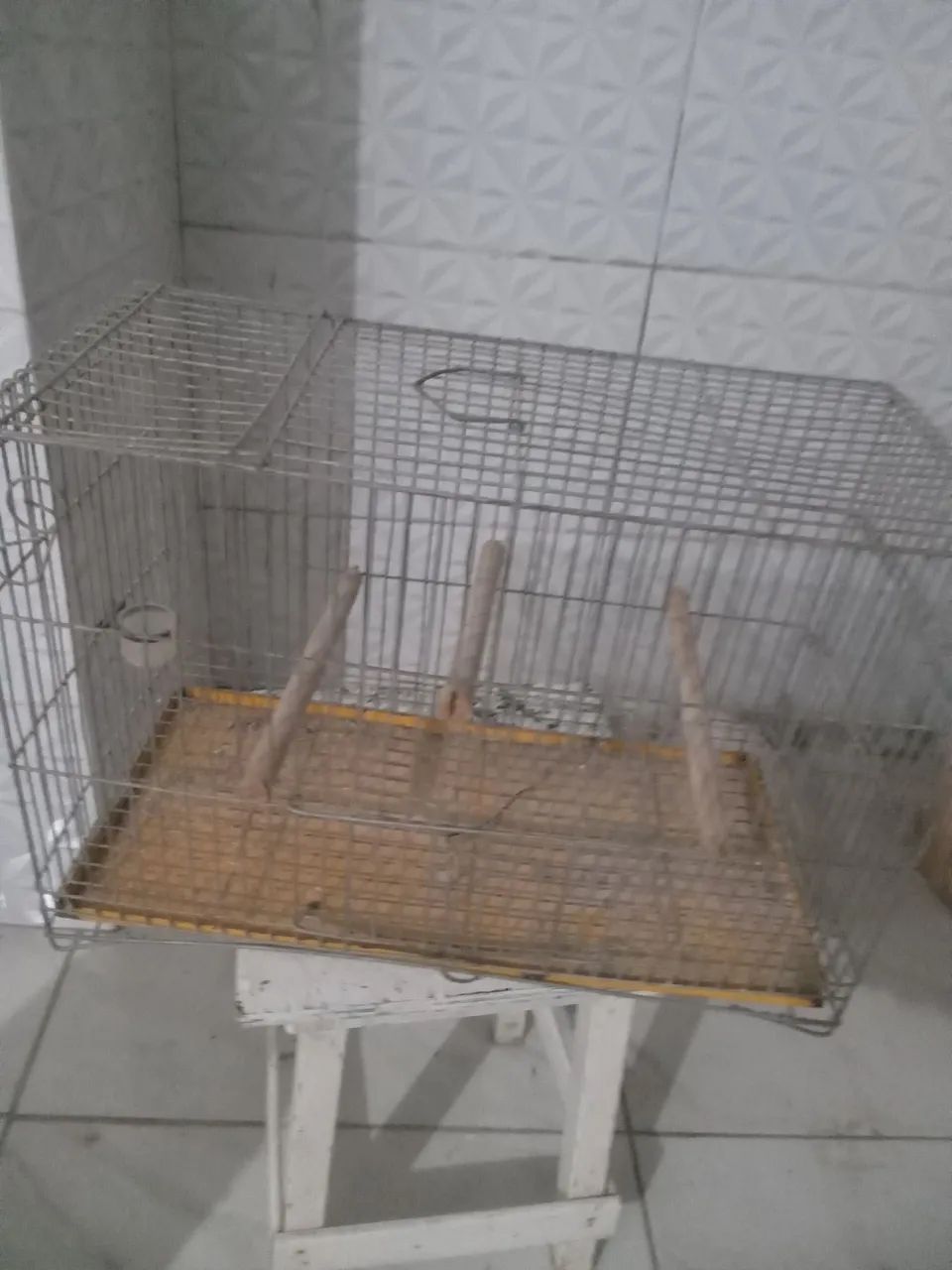 Duas gaiolas 64304560303875122