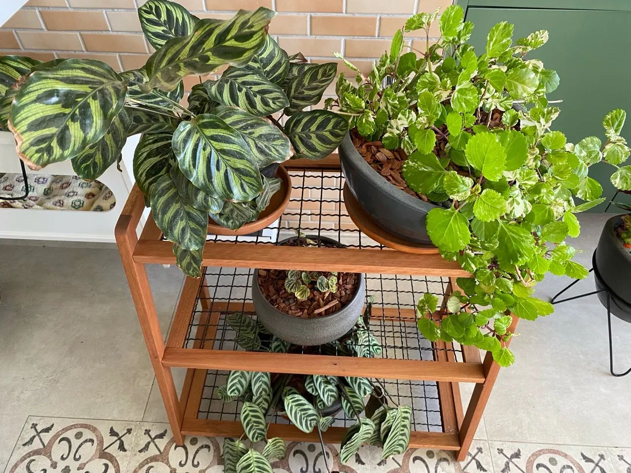 Floreira horizontal de madeira de eucalipto 