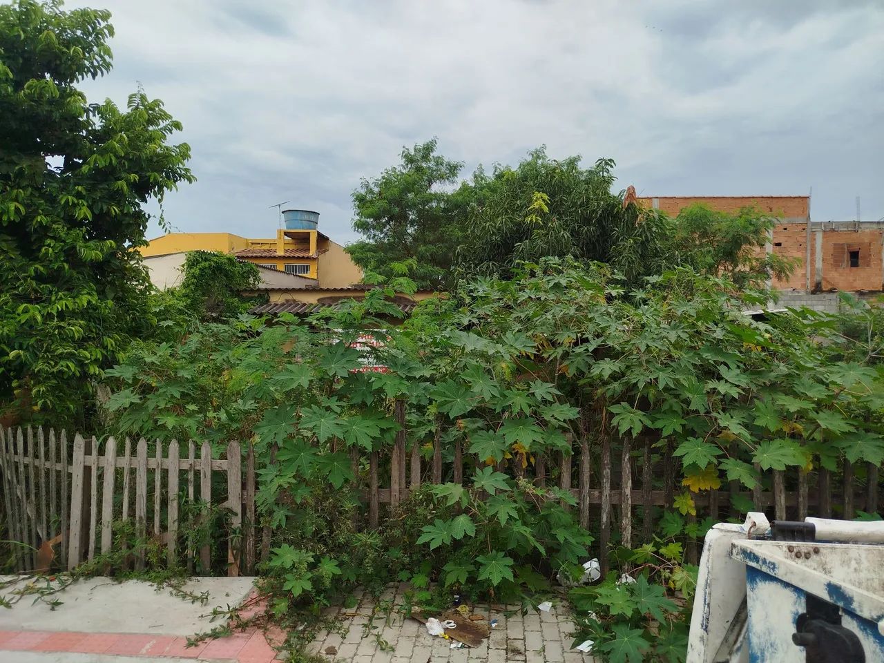 Corte de grama & mata  - Foto 5