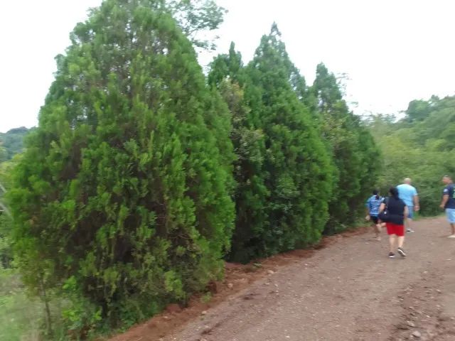 Terreno zona rural - Foto 2