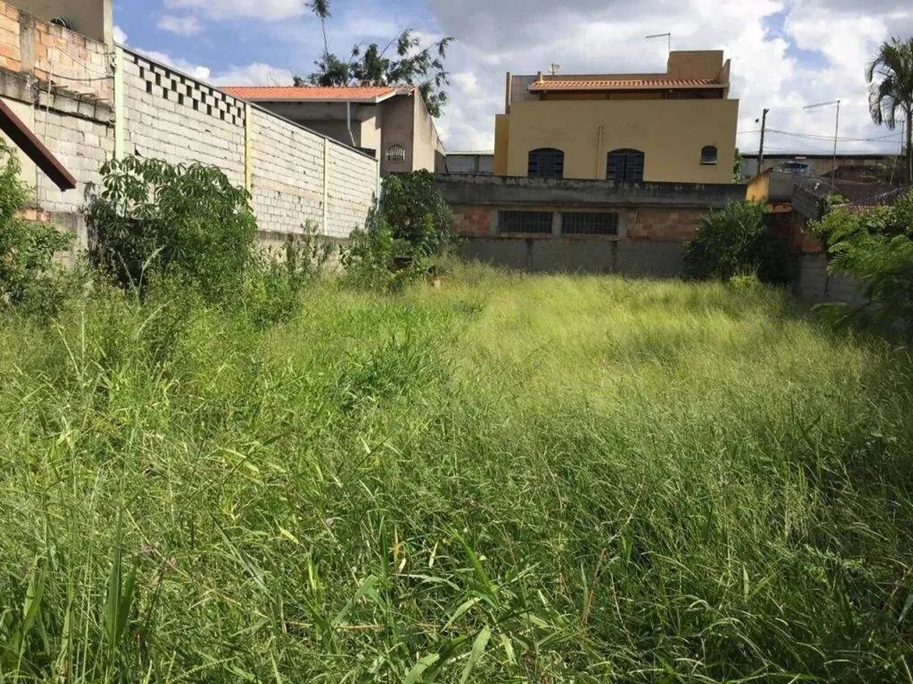 Área plana de 450M² - Foto 2