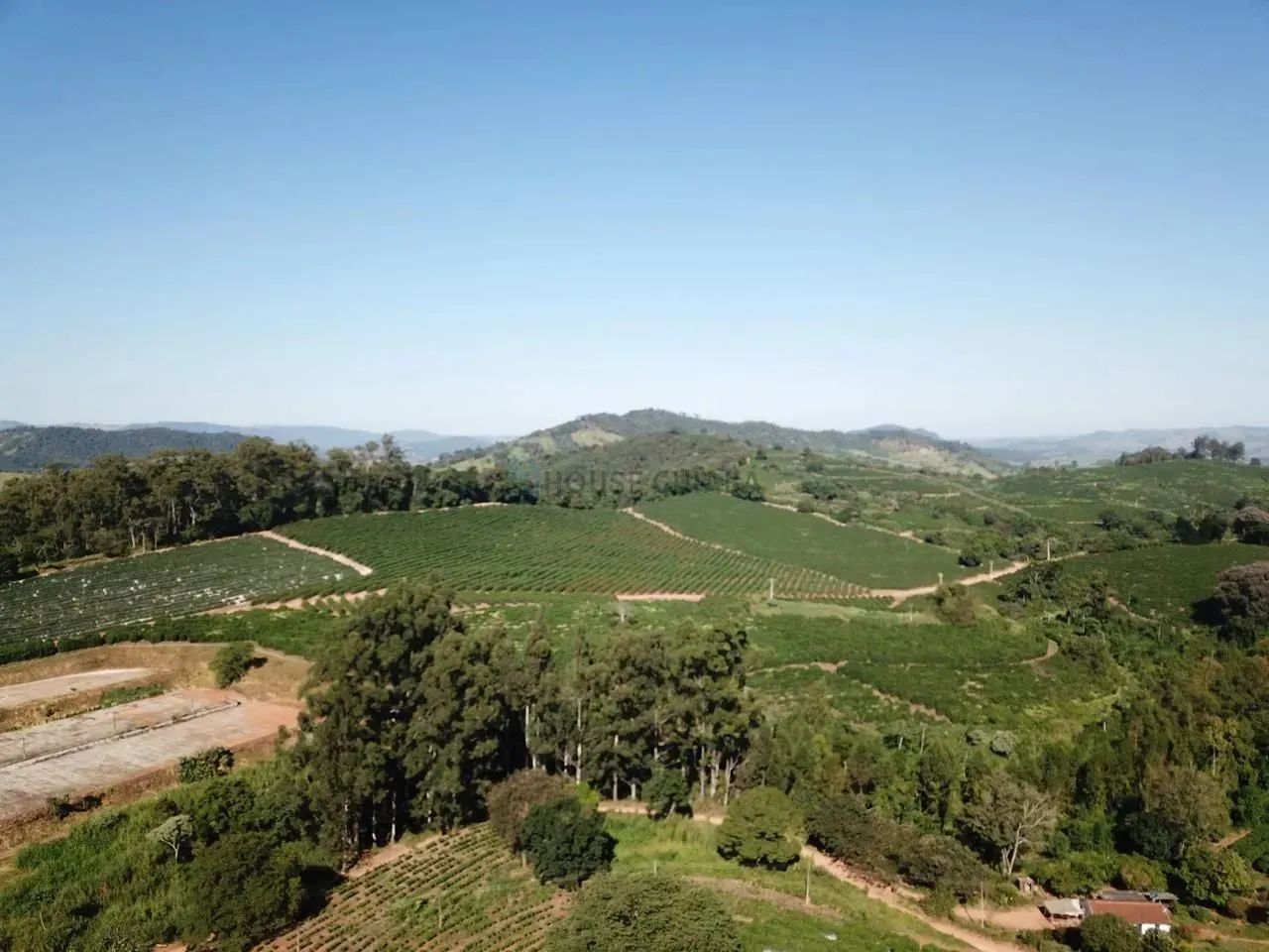 fazenda de café produtiva de 166,66 alqueres (399,984 hectares) no Município de - Foto 5