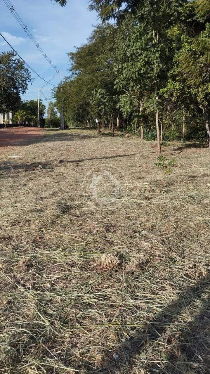 TERRENO DE 5025