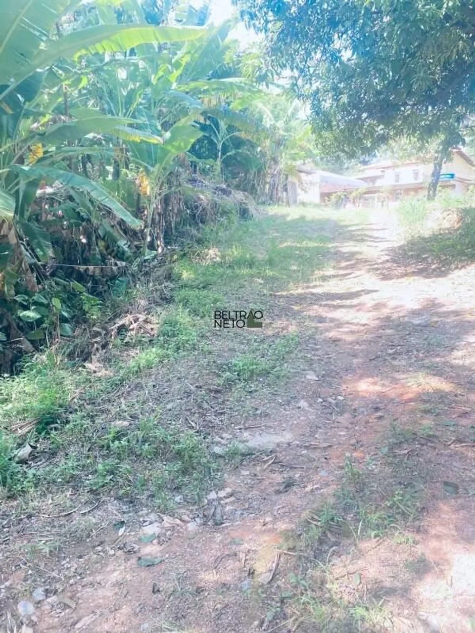 Lote à venda na Pampulha - Foto 5