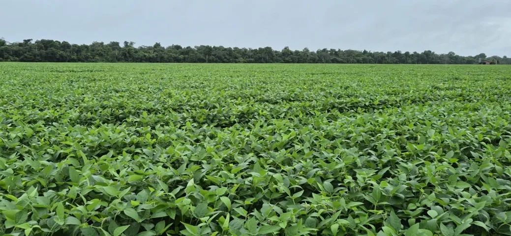 Fazenda 440 hec em Claudia-MT - Foto 3